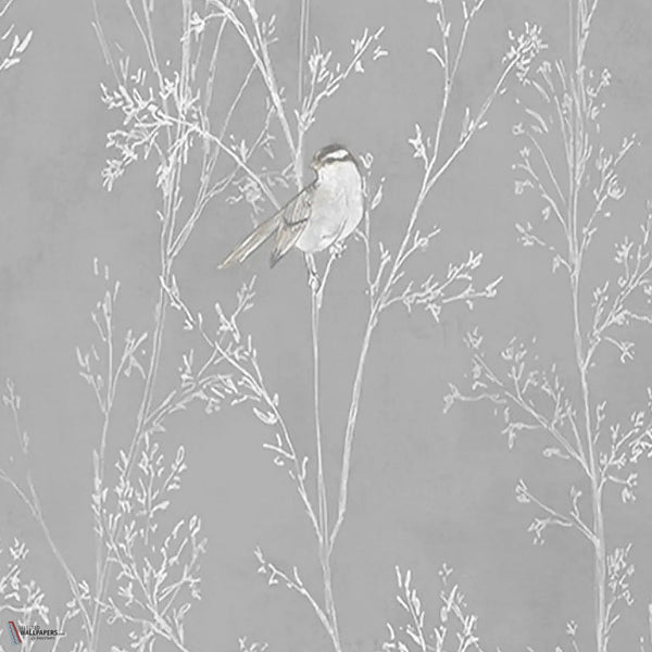 Branches wallpaper in Grey by Tecnografica — colour swatch