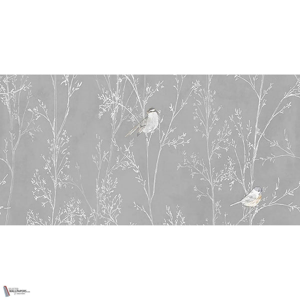 Branches wallpaper in Grey by Tecnografica — full design