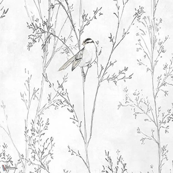 Branches wallpaper in White by Tecnografica — colour swatch
