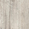 Calima Tapete in Beige von Tecnografica — Farbmuster