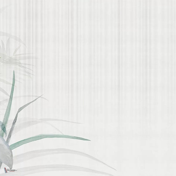 Capo Verde wallpaper in Green by Tecnografica — colour swatch