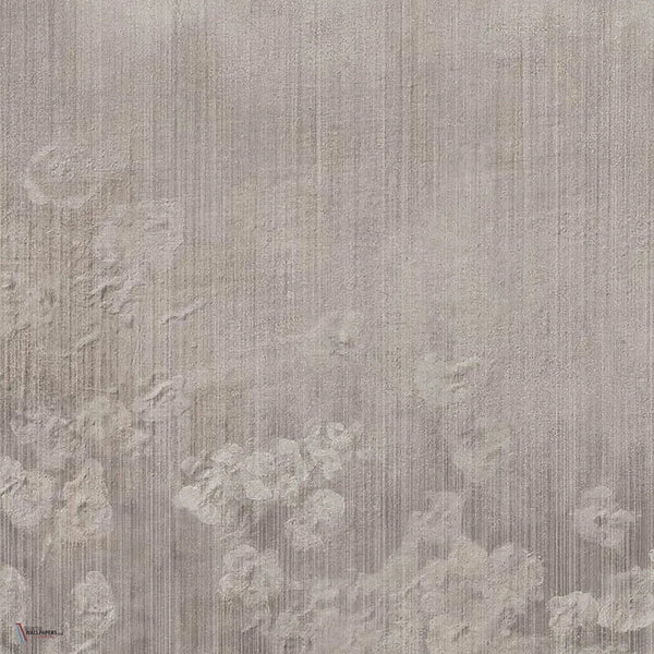 Faded Bloom wallpaper in Grey A by Tecnografica — colour swatch
