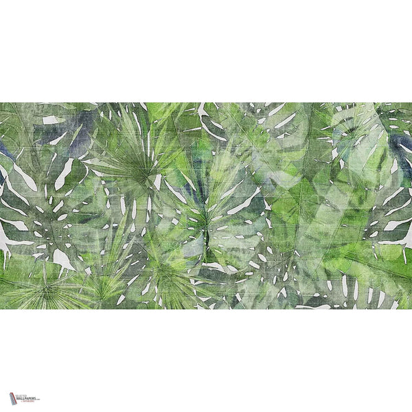 Fitzcarraldo behang in Green van Tecnografica — volledig ontwerp