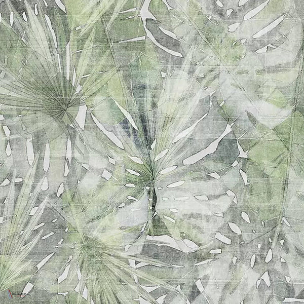 Fitzcarraldo behang in Grey-Green van Tecnografica — kleurstaal