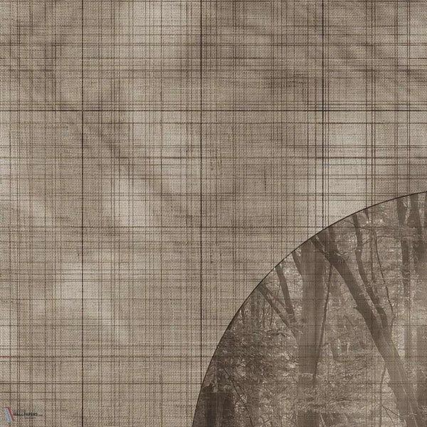 Glimpse wallpaper in Brown A by Tecnografica — colour swatch