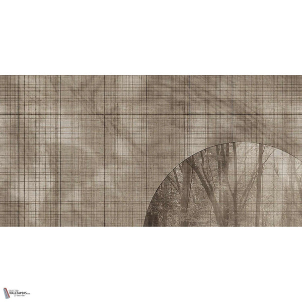 Glimpse wallpaper in Brown A by Tecnografica — full design