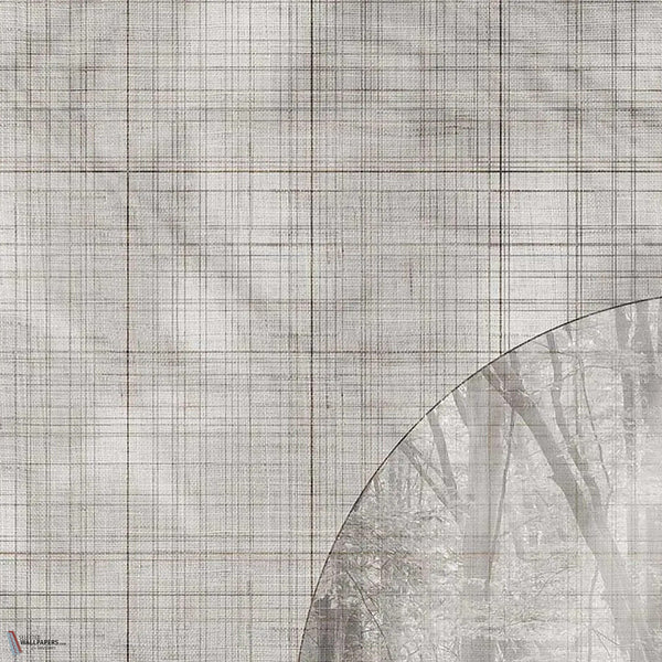 Glimpse wallpaper in Grey A by Tecnografica — colour swatch