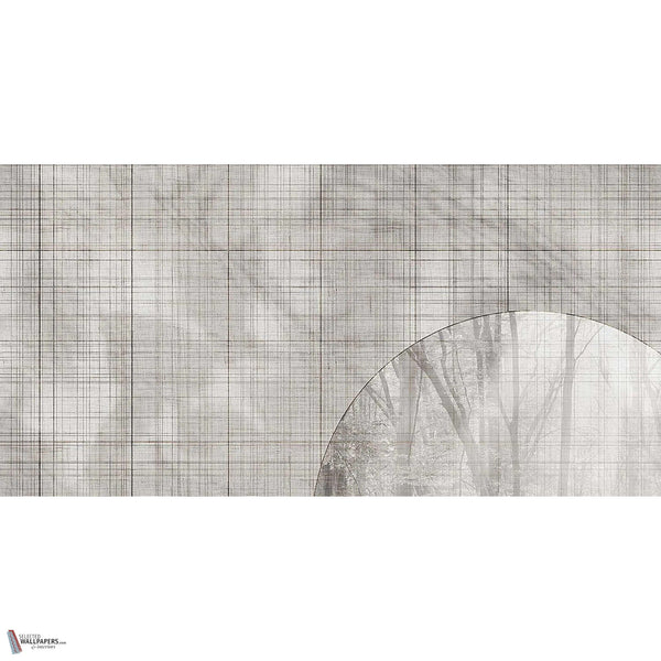 Glimpse wallpaper in Grey A by Tecnografica — full design