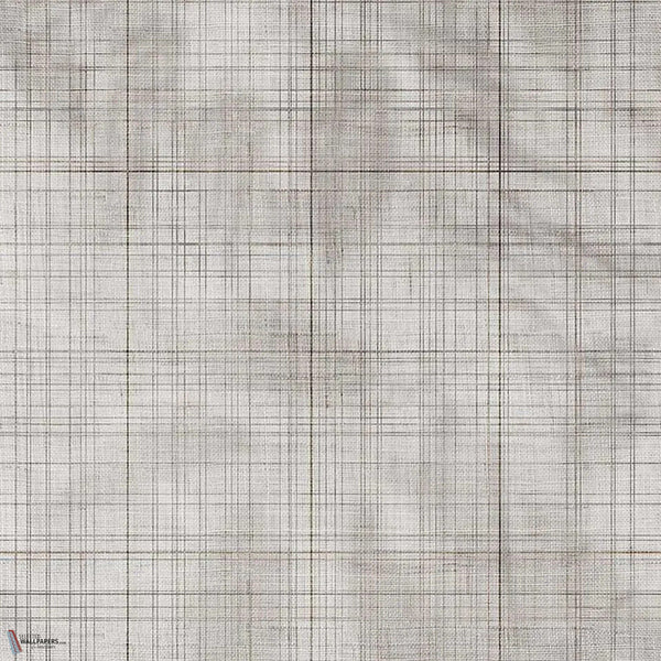 Glimpse wallpaper in Grey B by Tecnografica — colour swatch