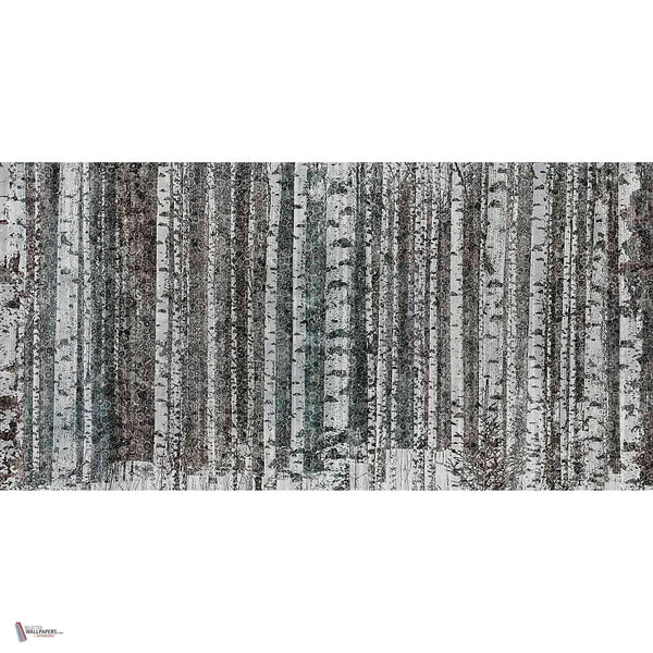 Murrine Wood behang in Cold van Tecnografica — volledig ontwerp