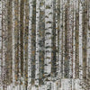 Murrine Wood behang in Warm van Tecnografica — kleurstaal