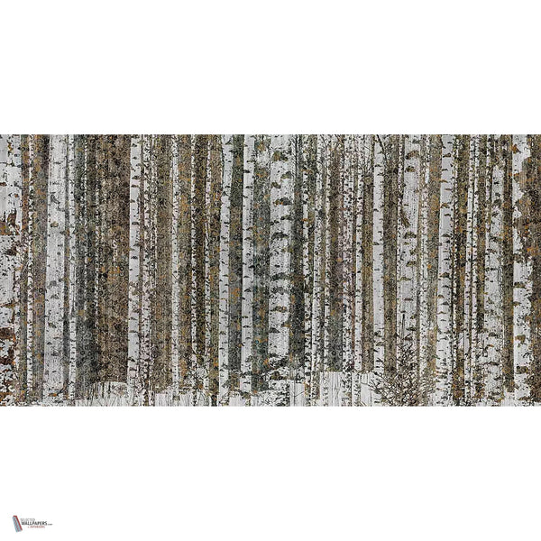Murrine Wood behang in Warm van Tecnografica — volledig ontwerp