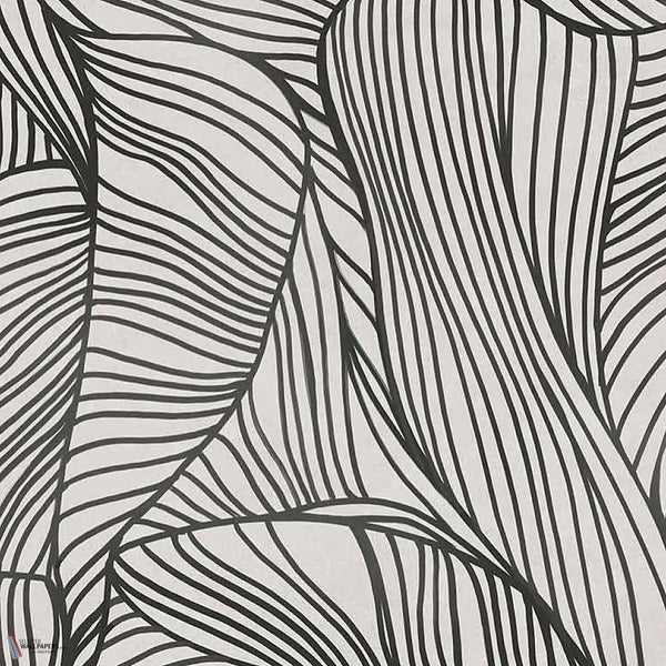 Musa behang in Black van Tecnografica — kleurstaal