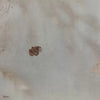 Ophelia Grace behang in Sand Grey van Tecnografica — kleurstaal