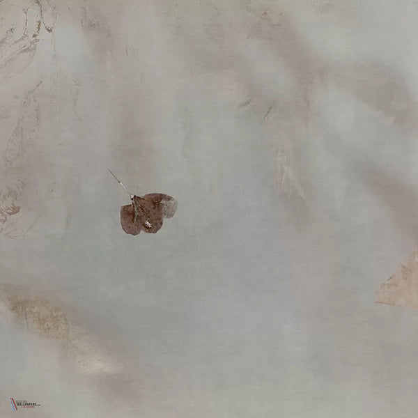 Ophelia Grace behang in Sand Grey van Tecnografica — kleurstaal