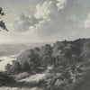 Out of the Woods behang in Grey A van Tecnografica — kleurstaal