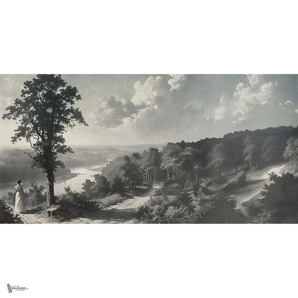 Out of the Woods behang in Grey A van Tecnografica — volledig ontwerp