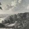 Out of the Woods behang in Grey B van Tecnografica — kleurstaal