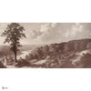 Out of the Woods behang in Rose A van Tecnografica — volledig ontwerp