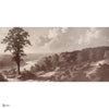 Out of the Woods behang in Rose B van Tecnografica — volledig ontwerp