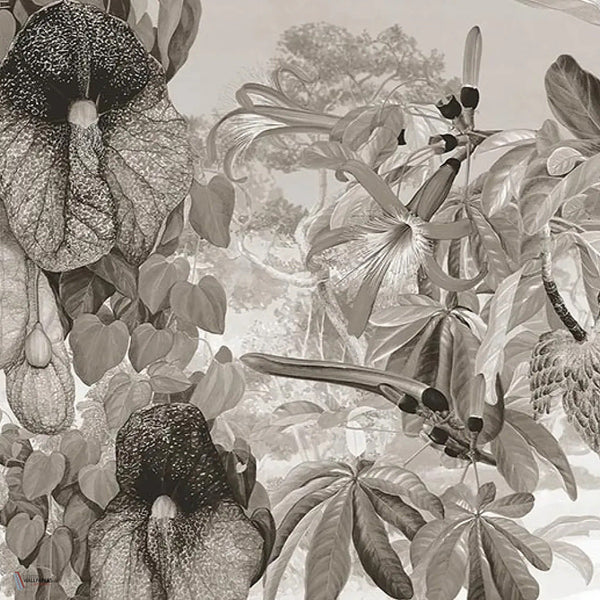 Paradiso 23 behang in Sepia van Tecnografica — kleurstaal