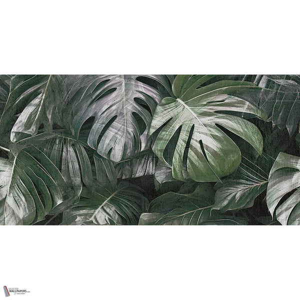 Photographic Jungle wallpaper in Cold by Tecnografica — full design