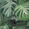 Photographic Jungle wallpaper in Green by Tecnografica — colour swatch