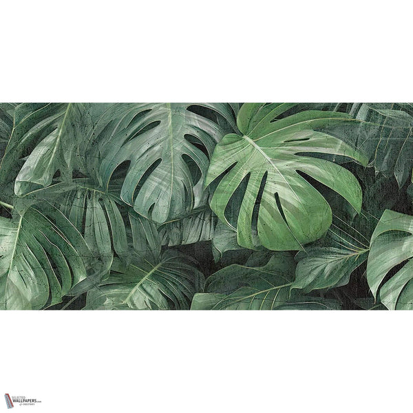 Photographic Jungle wallpaper in Green by Tecnografica — full design