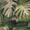 Photographic Jungle wallpaper in Warm by Tecnografica — colour swatch