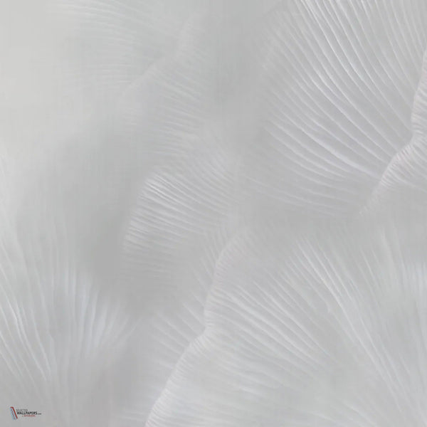Siren Song behang in Pearl van Tecnografica — kleurstaal