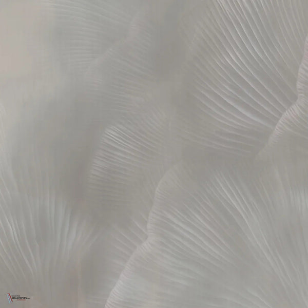 Siren Song behang in Taupe van Tecnografica — kleurstaal