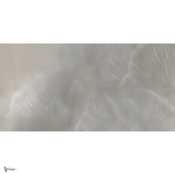 Siren Song behang in Taupe van Tecnografica — volledig ontwerp