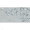 Willow Tapete in Cold von Tecnografica — Gesamtdesign