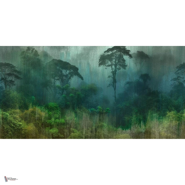 Yage behang in Amazzonia Green van Tecnografica — volledig ontwerp