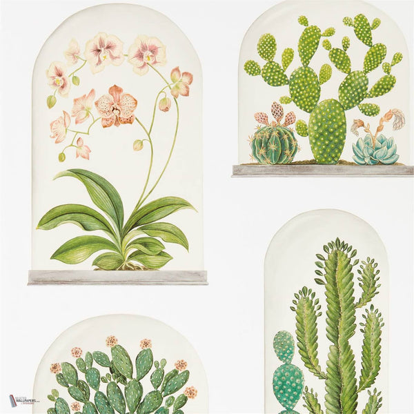 Terrariums wallpaper in Chalk/Green van Sanderson