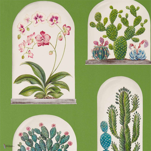 Terrariums wallpaper in Green/Multi van Sanderson