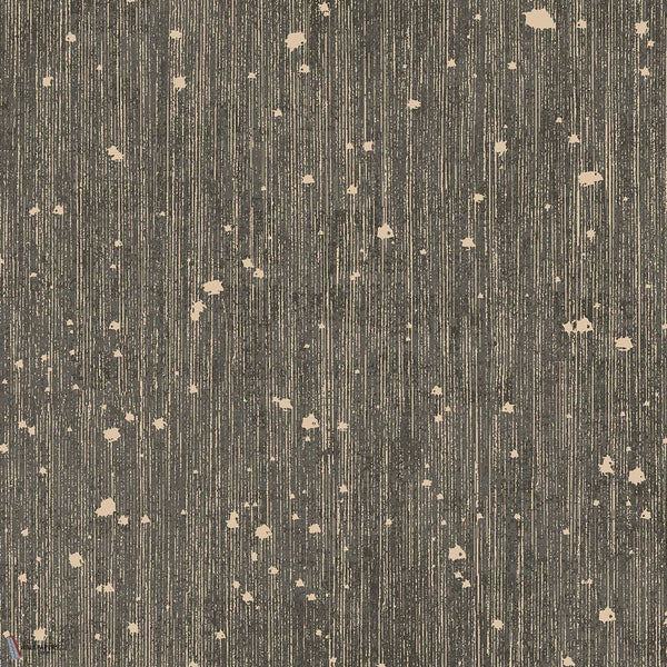 Cosmo papier peint en Anthracite de Texam