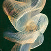 Twisted Rainbow papier peint de Texam