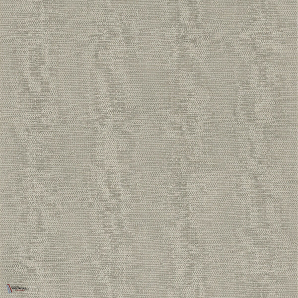 Lime wallpaper in Gris 2 by Texdecor