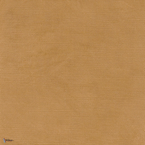 Lime wallpaper in Jaune 2 by Texdecor