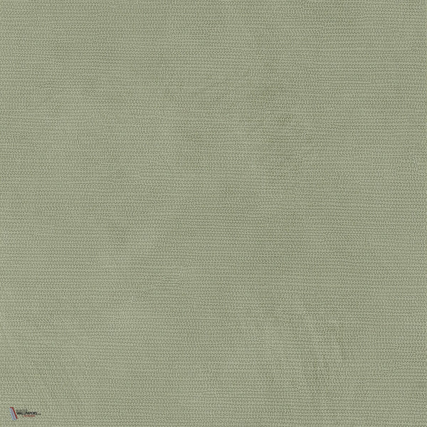 Lime wallpaper in Vert 2 by Texdecor