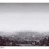 Roma Mural Tapete in Black von Thibaut