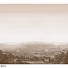 Roma Mural wallpaper in Brown by Thibaut