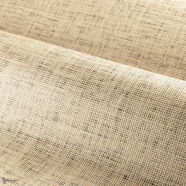 Tramis wallpaper in Beige Noir by Casamance