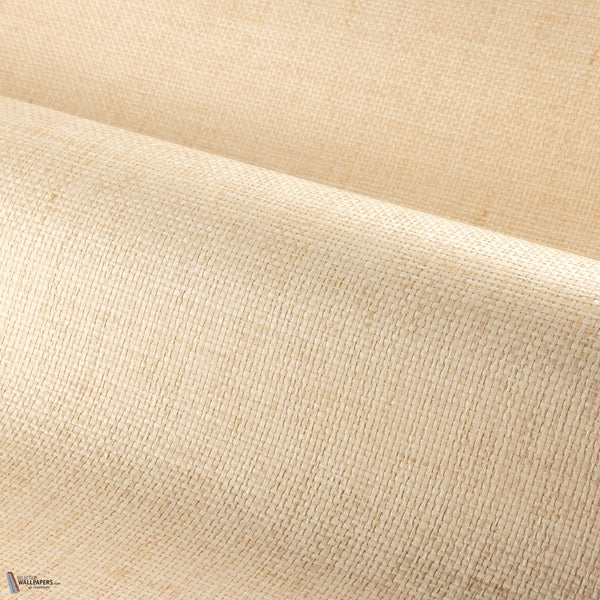 Tramis wallpaper in Sable by Casamance
