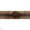 Eclipse wallpaper in T11025 by Tuskara — full design