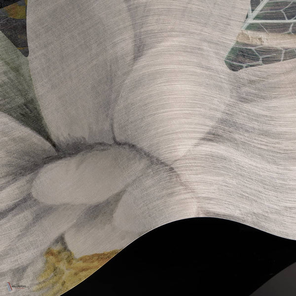 Whispers Of Lilies wallpaper Premium Silk Silver wallpaper in T11038 by Tuskara