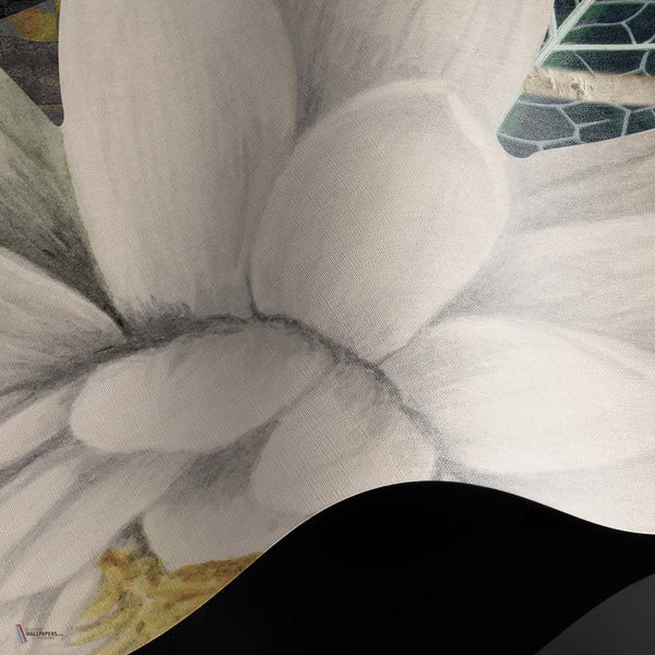 Whispers Of Lilies wallpaper Raw Vinyl wallpaper in T11038 by Tuskara