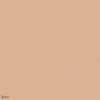 Colour Choice behang van Vescom