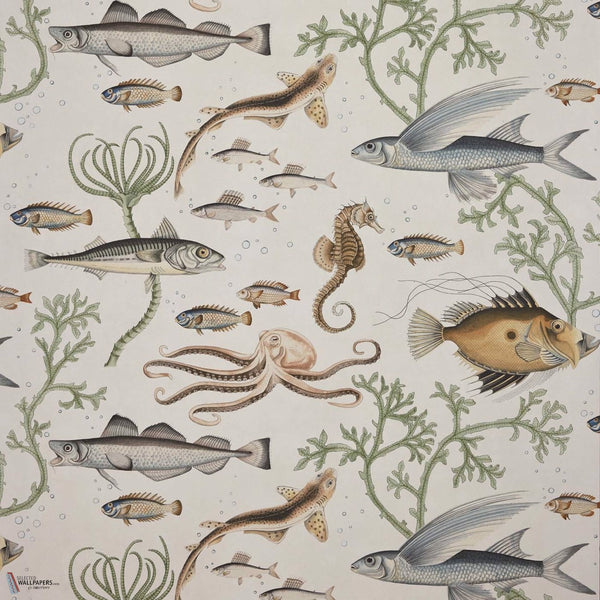 Dory wallpaper in Botanica by Voysey House